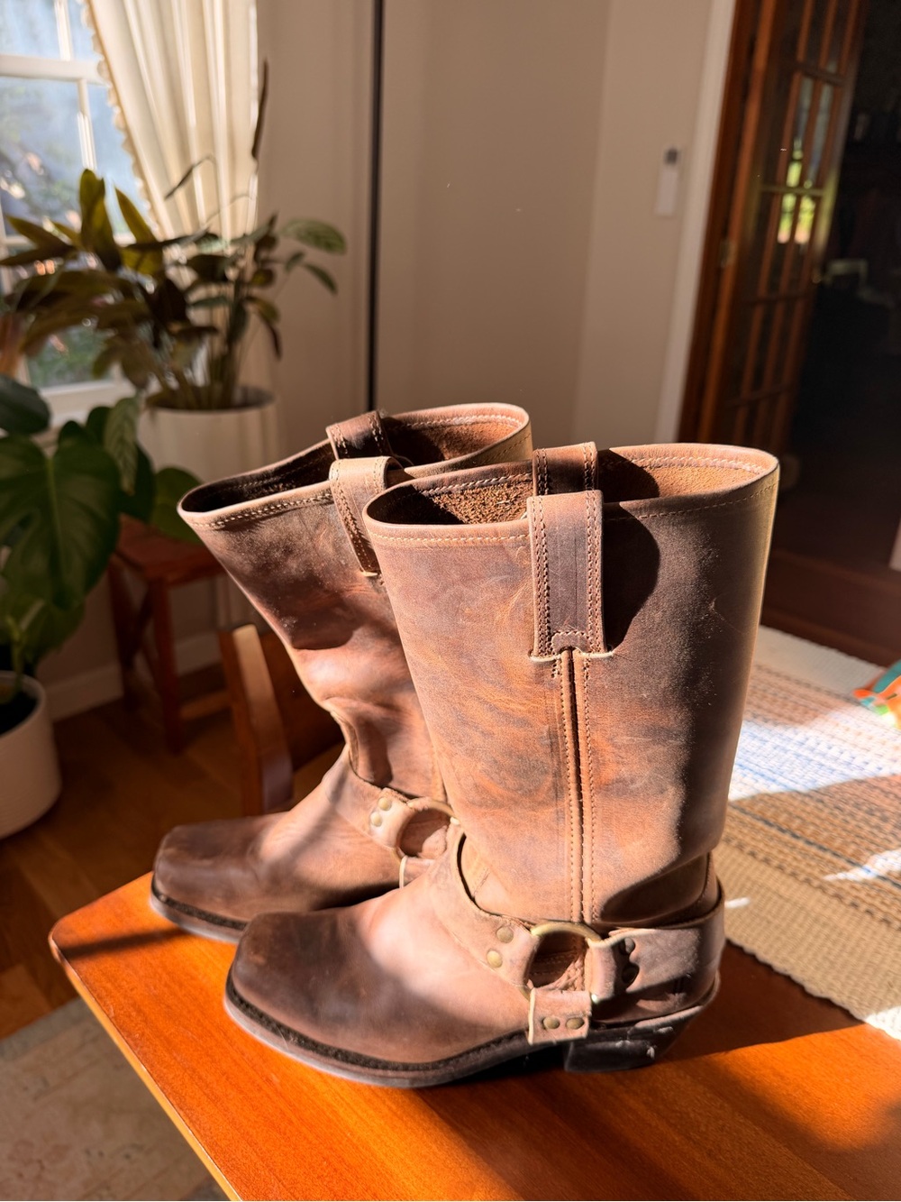 Frye Boots